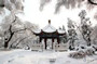 刘同学